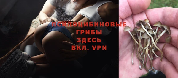 прущие крисы Володарск