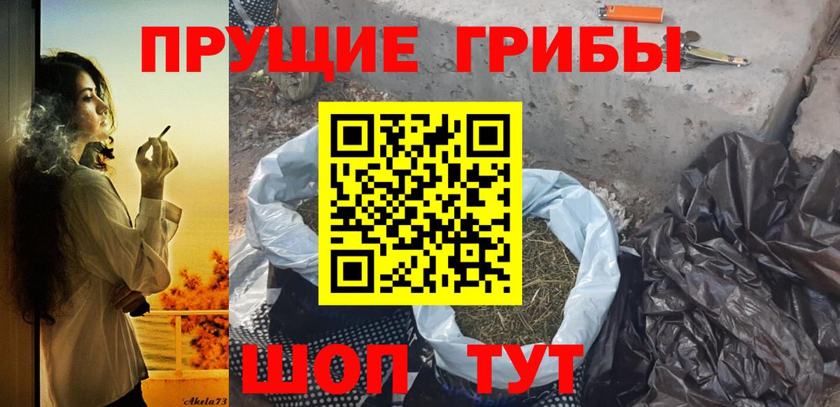 наркота  Вязьма  Галлюциногенные грибы Psilocybine cubensis 