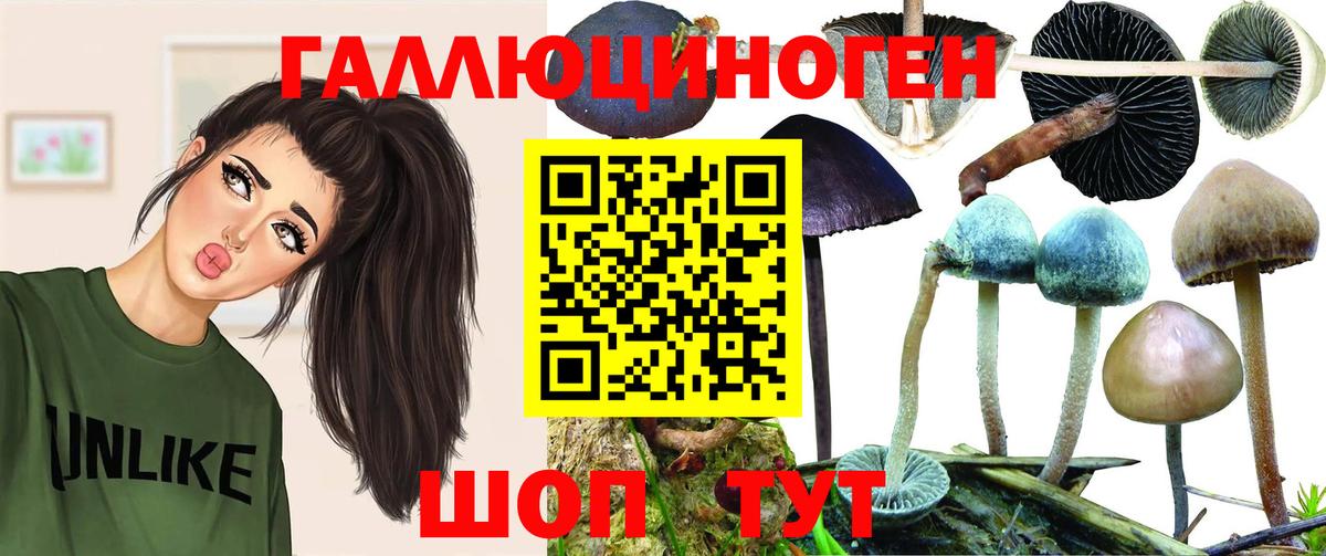 Галлюциногенные грибы Cubensis  Псилоцибиновые грибы Magic Shrooms  Вязьма  Вход с VPN 