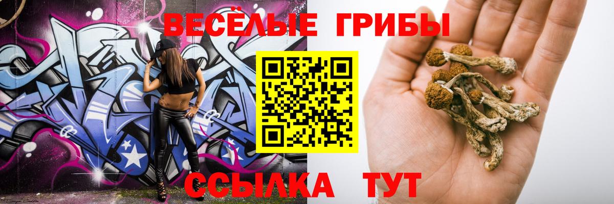 Галлюциногенные грибы мицелий Вязьма